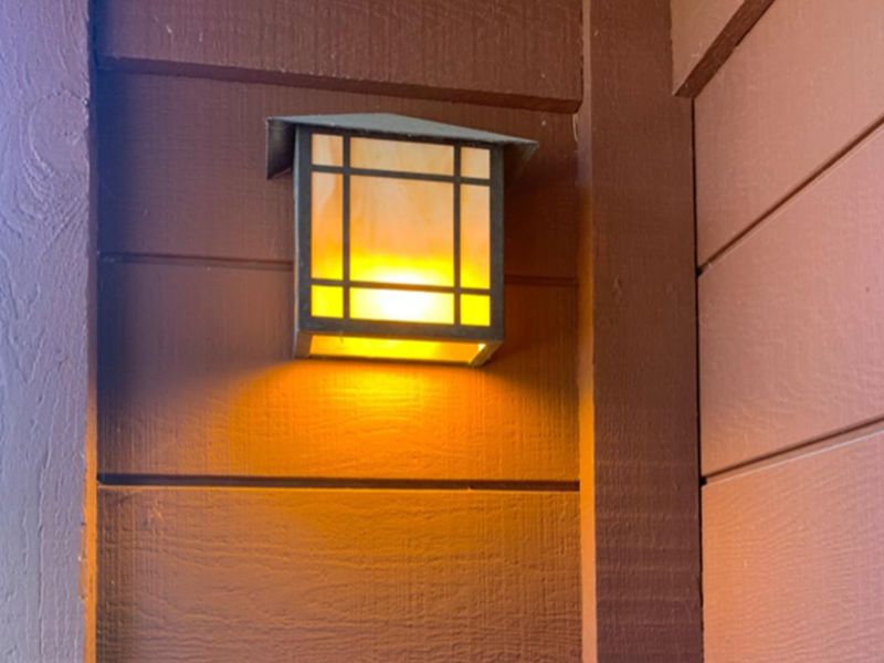 Change the lighting before relying on a plant