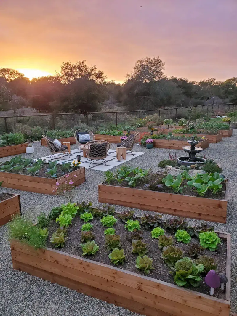 Check a local calendar before planting fall greens