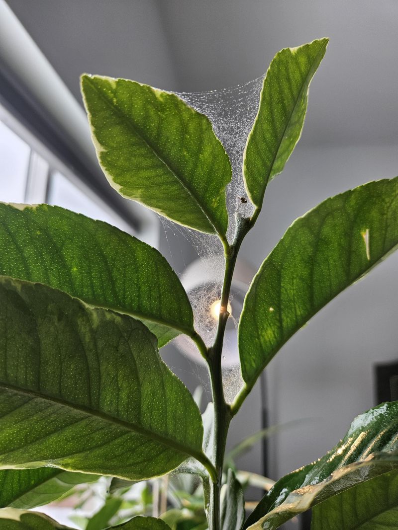 Check for temperature, humidity, and pest problems Check for temperature, humidity, and pest problems