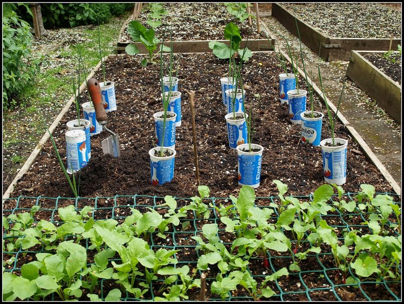 Check growing conditions before blaming the hill Check growing conditions before blaming the hill