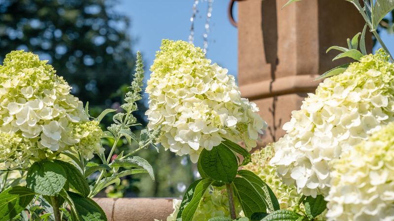 Check light and moisture before changing the soil or feeding