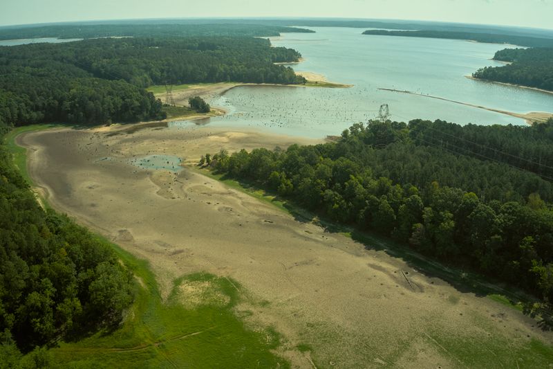 Check local drought conditions and water rules first