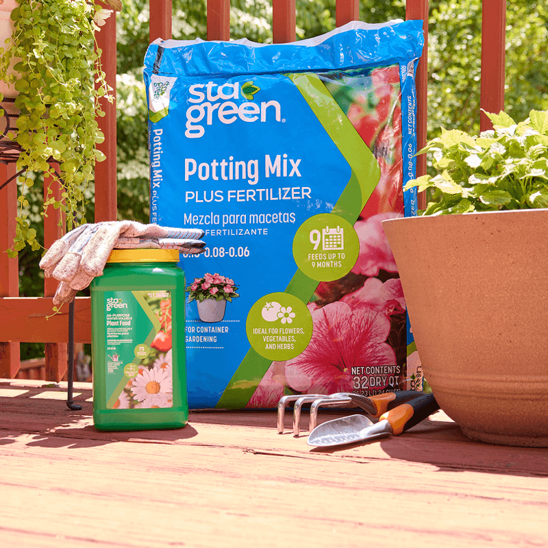 Check soil and potting mix before feeding Check soil and potting mix before feeding