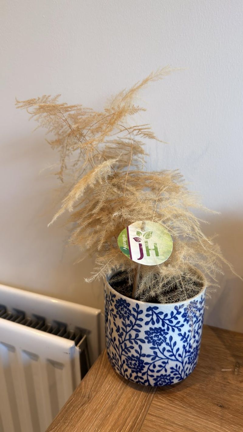 Check that the plant and climate fit the advice Check that the plant and climate fit the advice