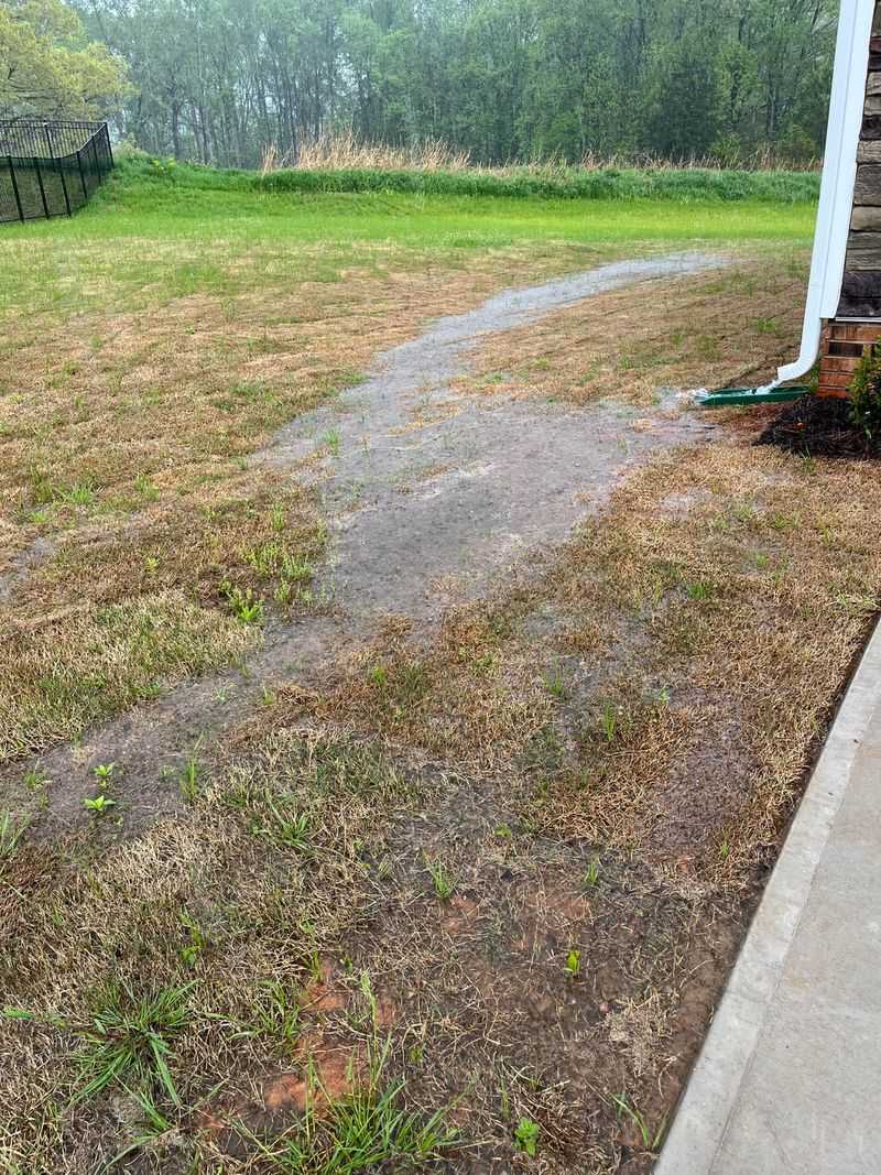 Check the driveway strip for sun, drainage, and room Check the driveway strip for sun, drainage, and room