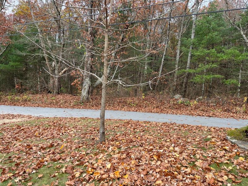 Check the leaf source and the plants nearby