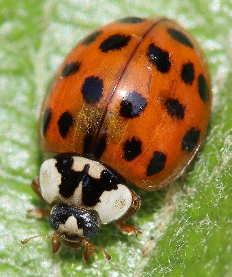 Check the markings before you act