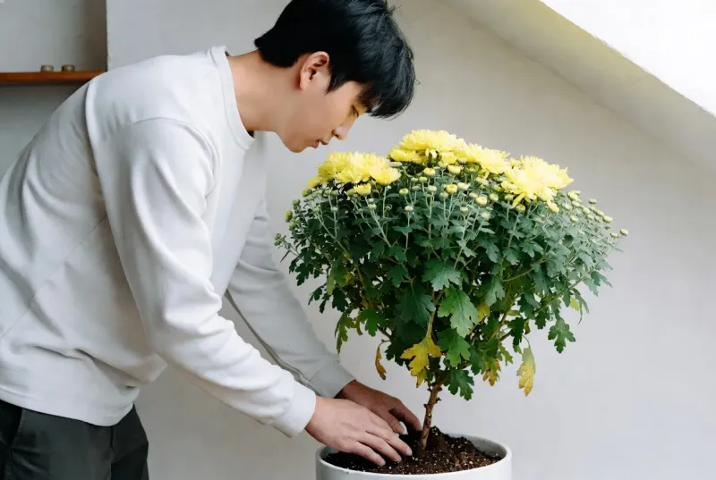 Check the root zone before watering Check the root zone before watering