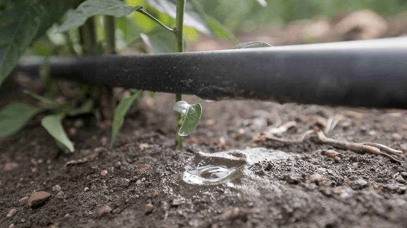 Check water and other possible causes of stubbing