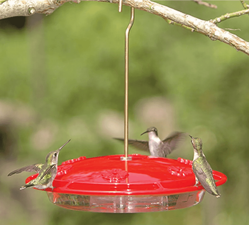 Check whether the feeder needs to hang upright