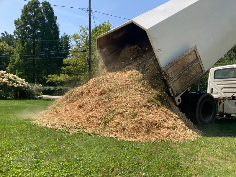 ChipDrop and Local Tree Crews