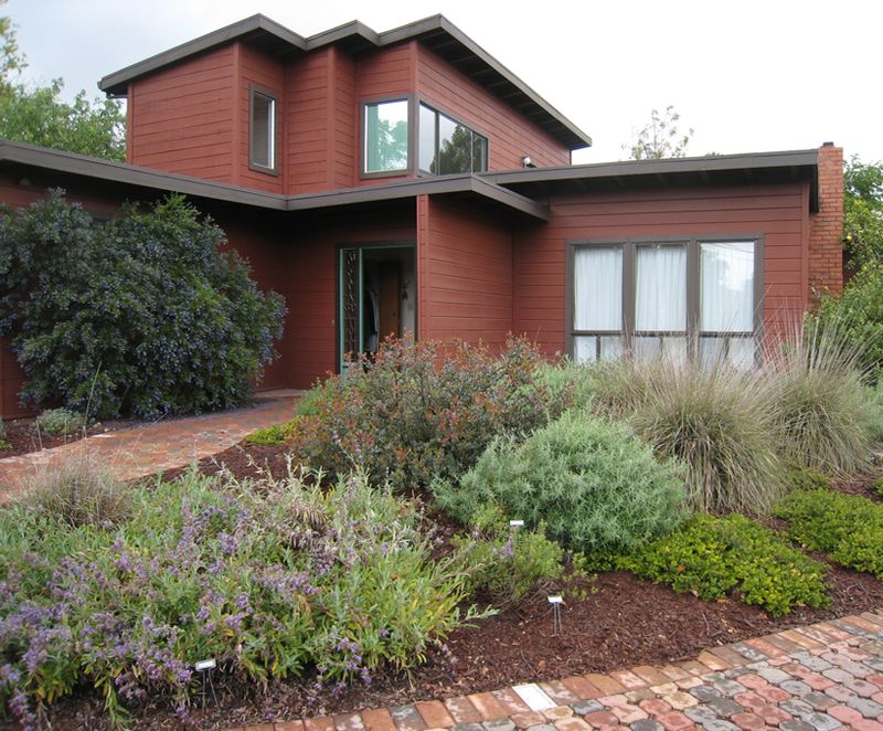 Choose California plants to fit the site