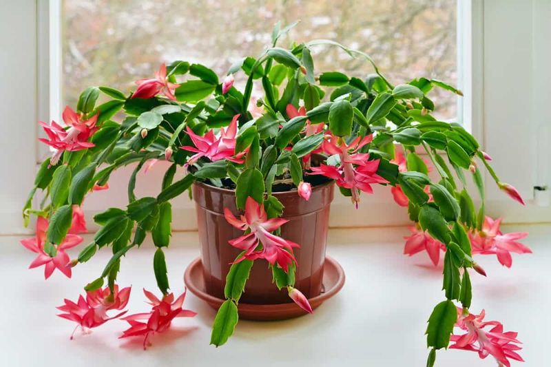 Choose a cool indoor spot, not cold exposure