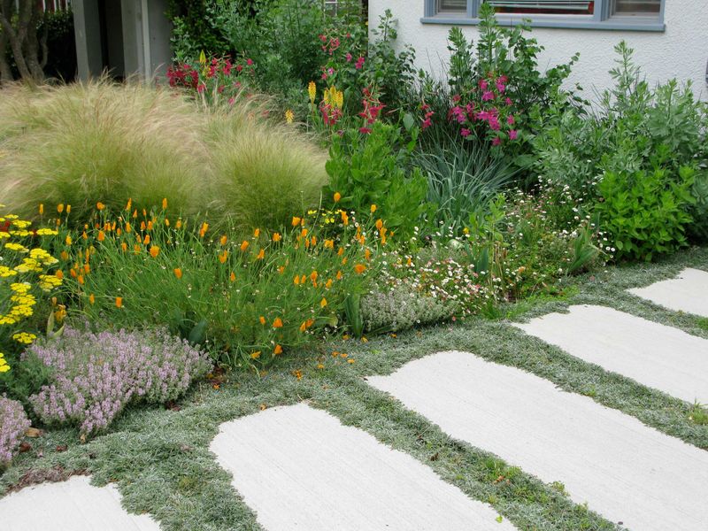 Choose a groundcover that fits the site