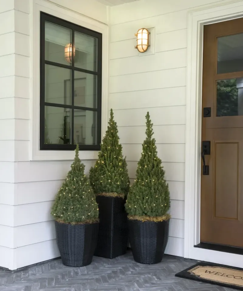Choose a realistic plan for a leafy entry