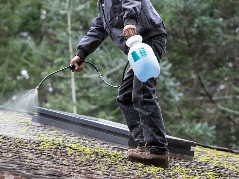 Choose any commercial product for its intended surface