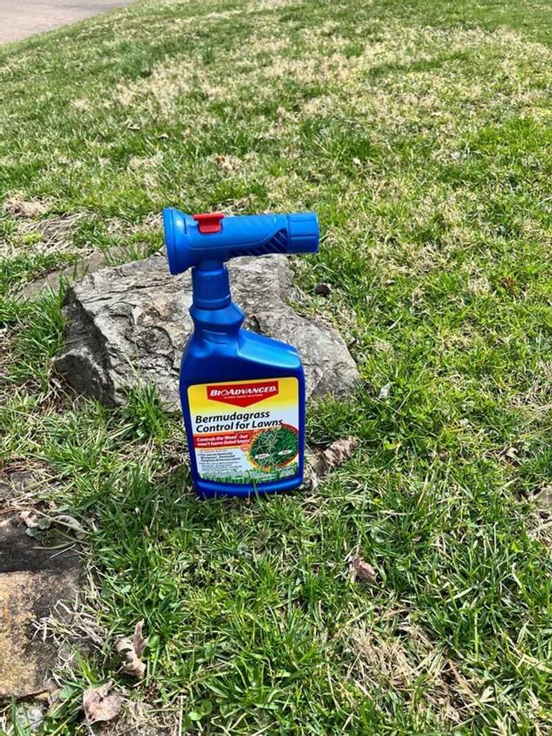 Choose by the grass, the lawn, and the label Choose by the grass, the lawn, and the label