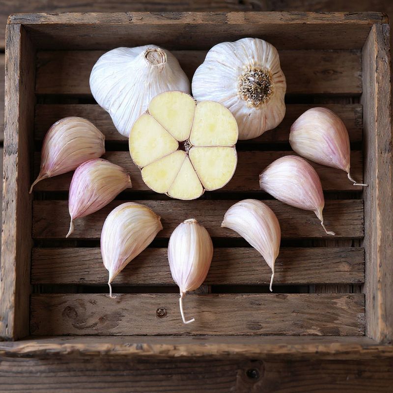 Choose cloves and varieties suited to your region Choose cloves and varieties suited to your region