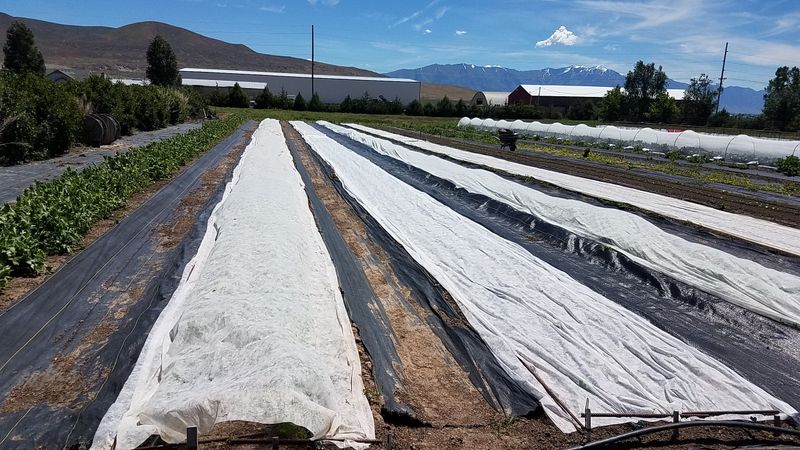 Choose fabric weight and install it securely