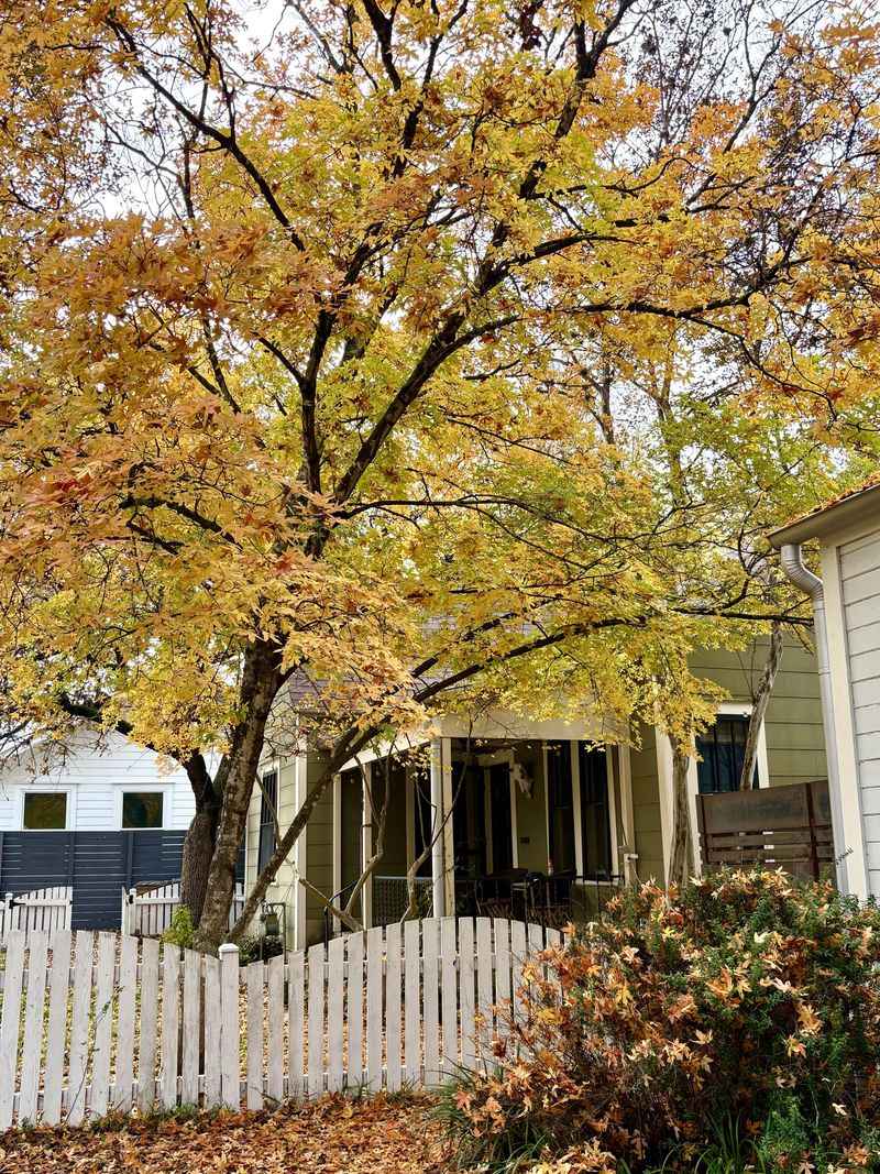 Choose for your yard, not a statewide superlative Choose for your yard, not a statewide superlative