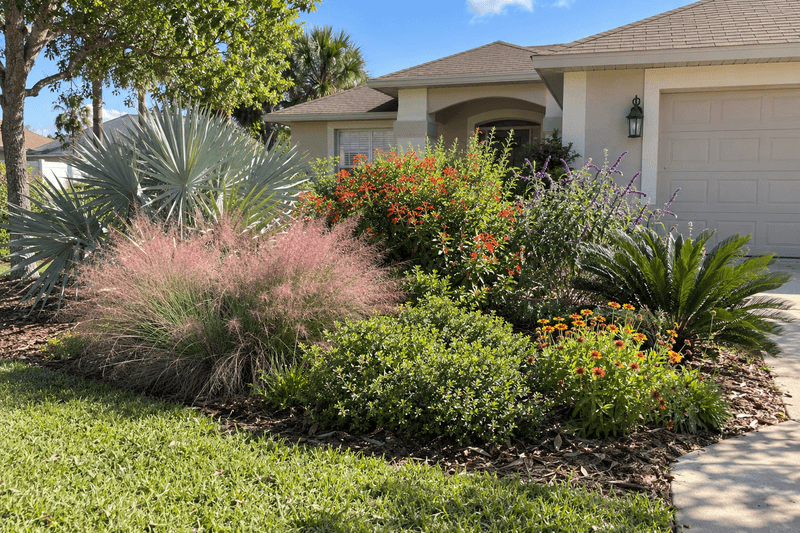 Choose plants for the yard, not just the label