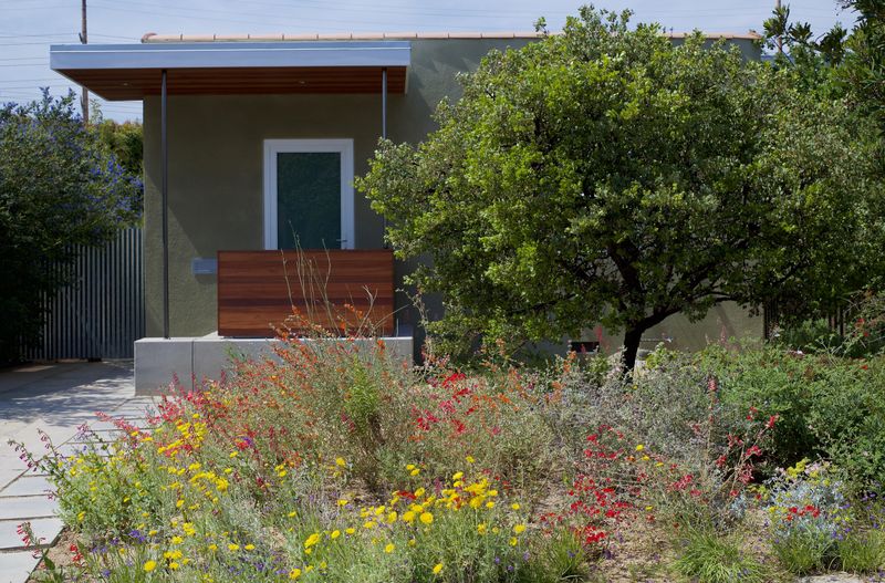 Choose plants for your yard, not just for California Choose plants for your yard, not just for California