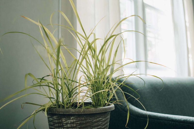 Choose the brightest warm indoor location