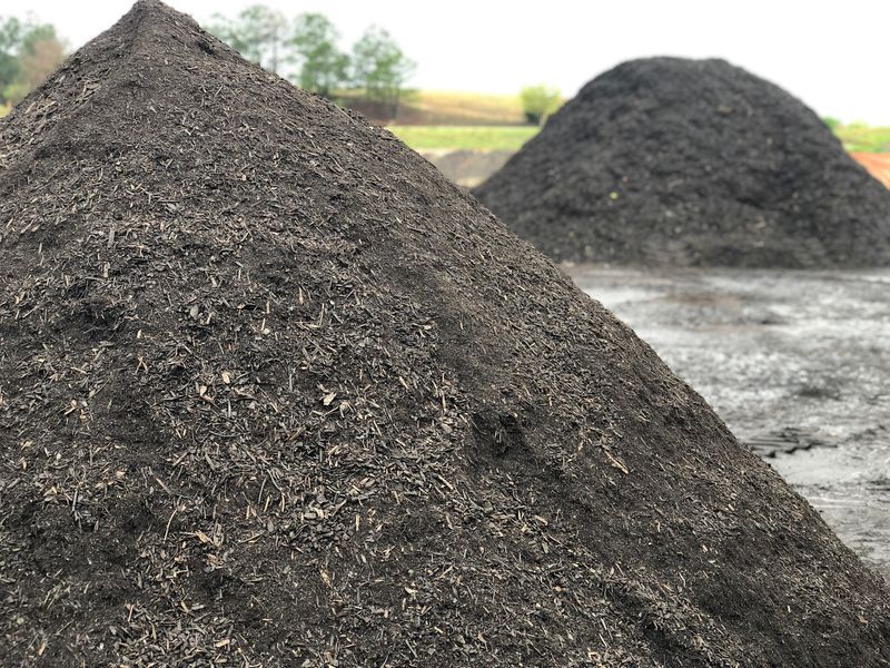 Choosing a Good Compost Without Overspending