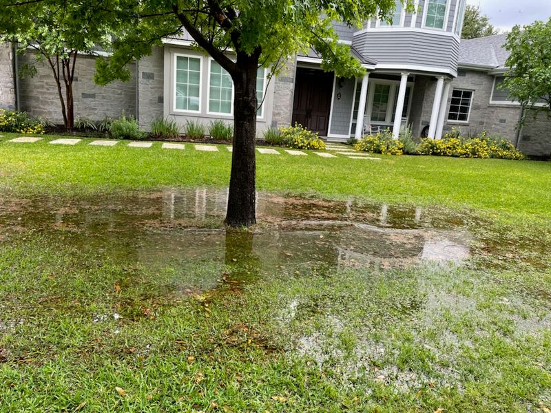 Clay beds need soil-wide improvement