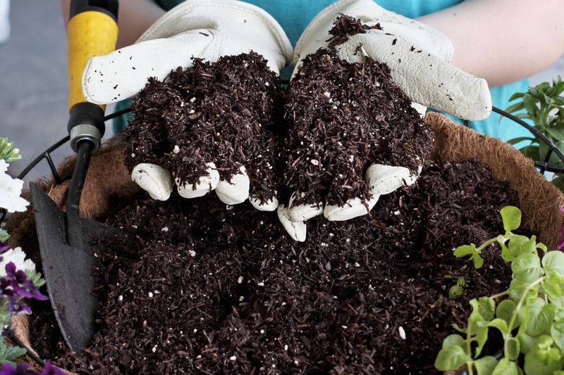 Clear out roots and reject risky batches
