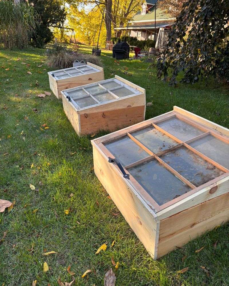Cold frames are not necessary in every Southern garden