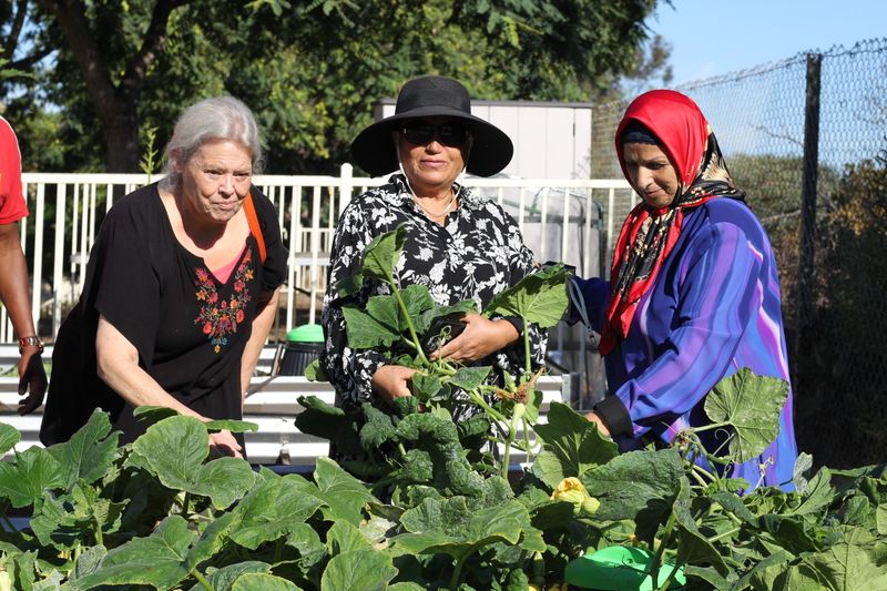 Community Gardens and Master Gardeners