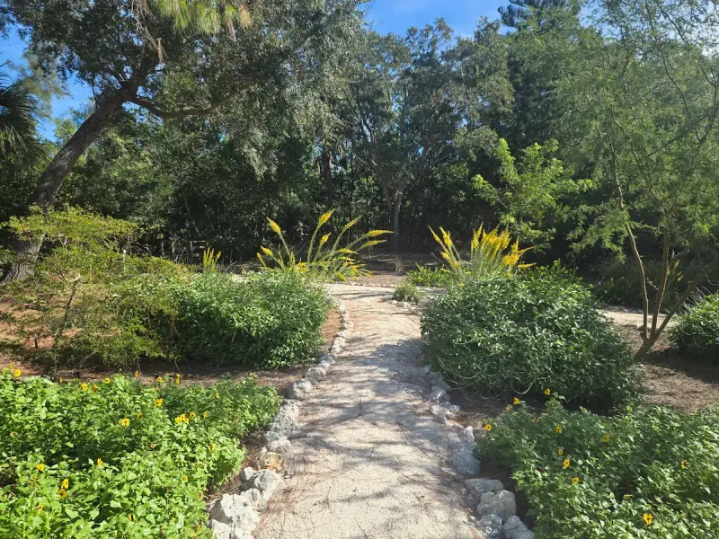 Connect Beds With Planted Cover
