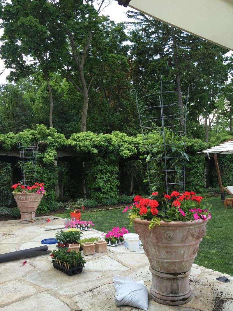 Container plants need a schedule that fits the pot and product Container plants need a schedule that fits the pot and product