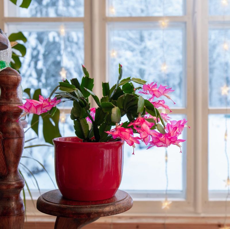 Cool evenings help, but Southern homes may stay warm Cool evenings help, but Southern homes may stay warm