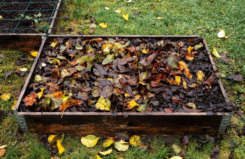 Cover idle beds to protect bare soil