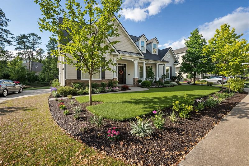 Create a Planted Area That Slows Rainwater