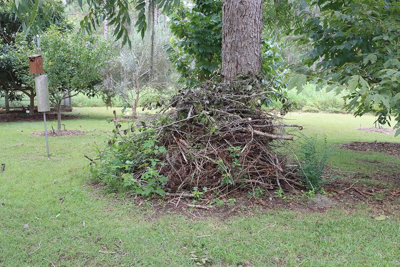 Create useful habitat without expecting a guarantee