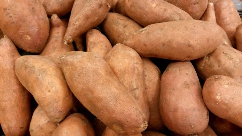 Curing helps roots heal and develop flavor