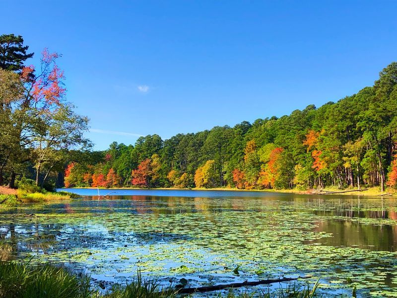 Daingerfield State Park