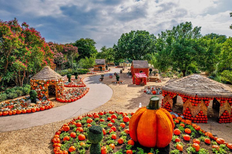 Dallas Arboretum's Autumn Displays and Plant Sales