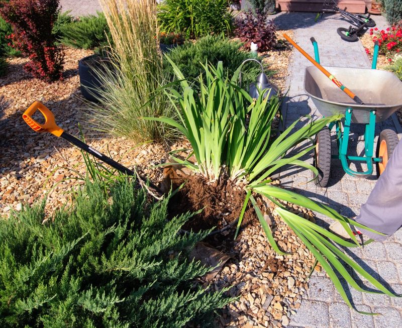 Deadheading and division do different jobs Deadheading and division do different jobs