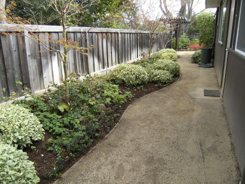 Decomposed Granite with Pocket Plantings Decomposed Granite with Pocket Plantings