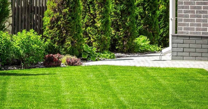 Dense Turf Helps Keep Weeds From Taking Hold