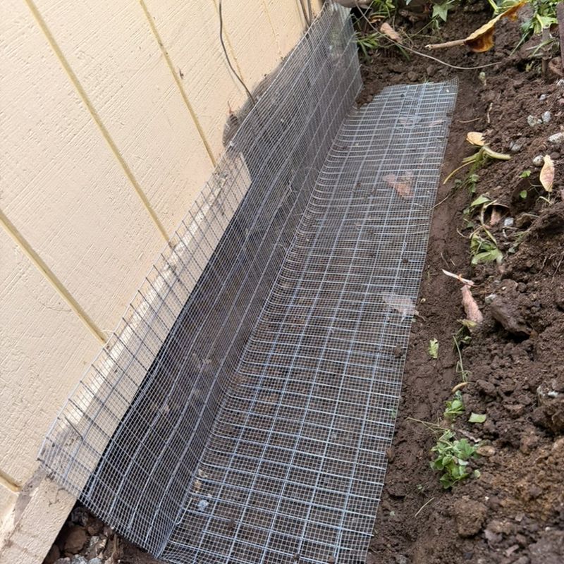 Dense cover and sheltered gaps may offer places to hide