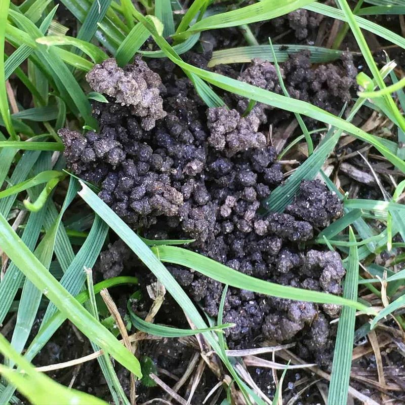 Diagnose the unevenness before adding soil