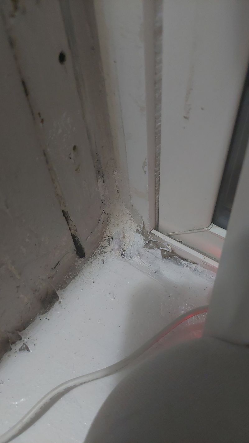 Diatomaceous Earth