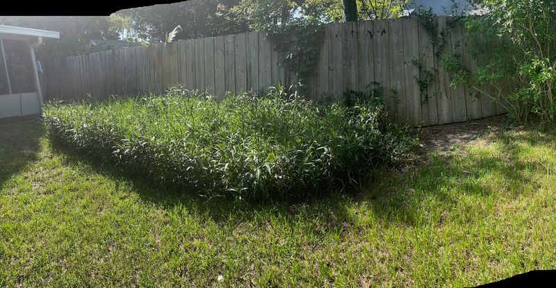 Dig out as much of the small patch as possible