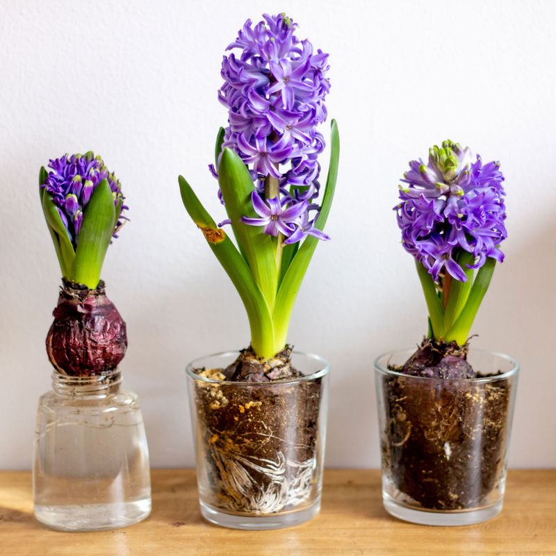 Do not confuse outdoor chilling with indoor forcing