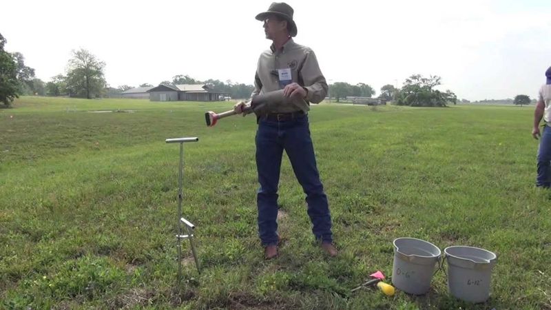Does your lawn need another nitrogen feeding?
